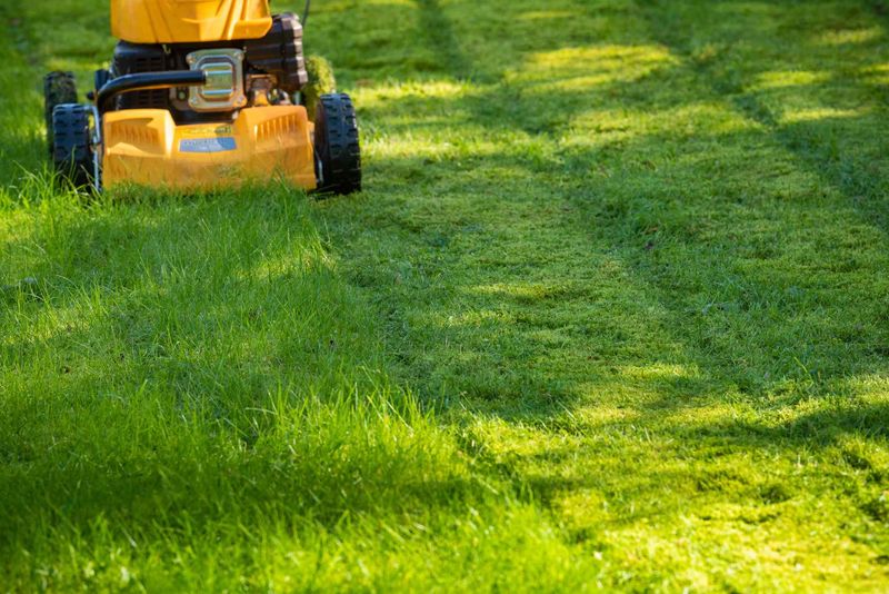 Shorter Existing Grass Helps Seed Reach The Soil
