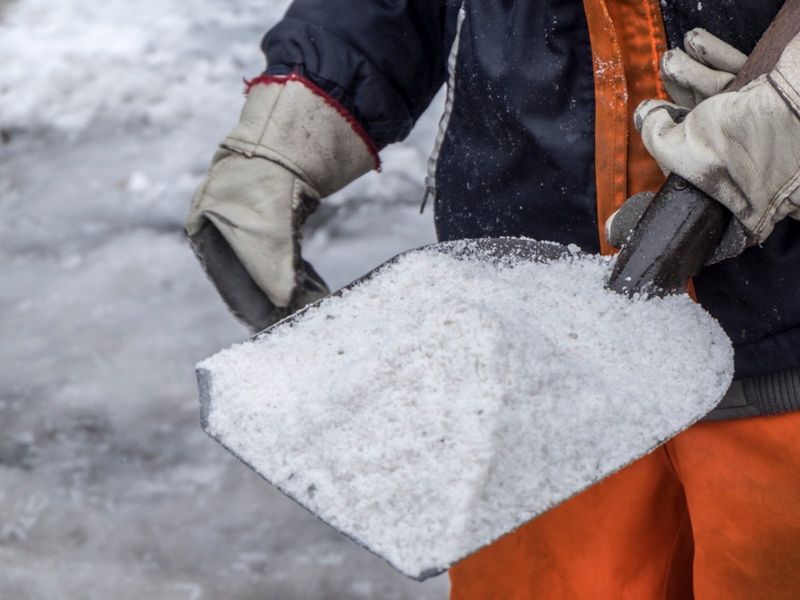 Shovel Snow Away From Planting Beds Shovel Snow Away From Planting Beds