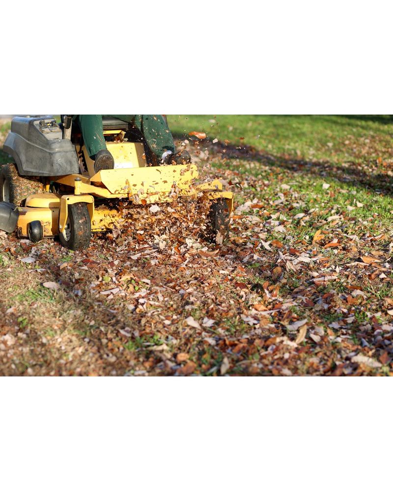 Shred Fallen Leaves Into The Mix