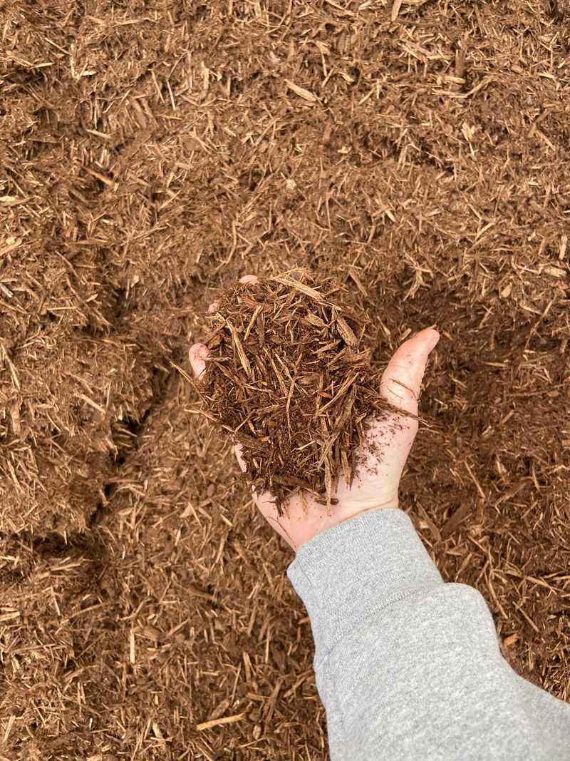 Shredded Hardwood Works Well In Most Beds Shredded Hardwood Works Well In Most Beds