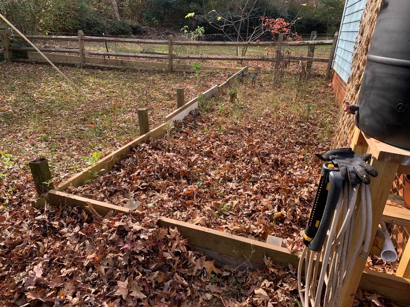 Shredded Leaves Can Cover Bare Beds Through The Cooler Months Shredded Leaves Can Cover Bare Beds Through The Cooler Months