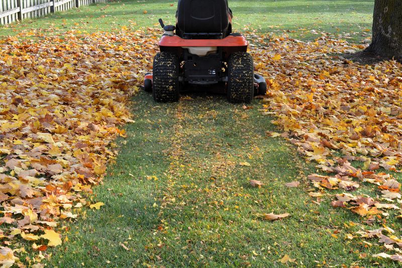 Shredded Leaves Work Better Than Whole Ones