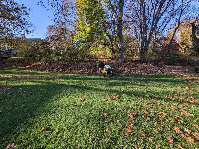 Shredding Is What Makes Them Safe For Grass Shredding Is What Makes Them Safe For Grass