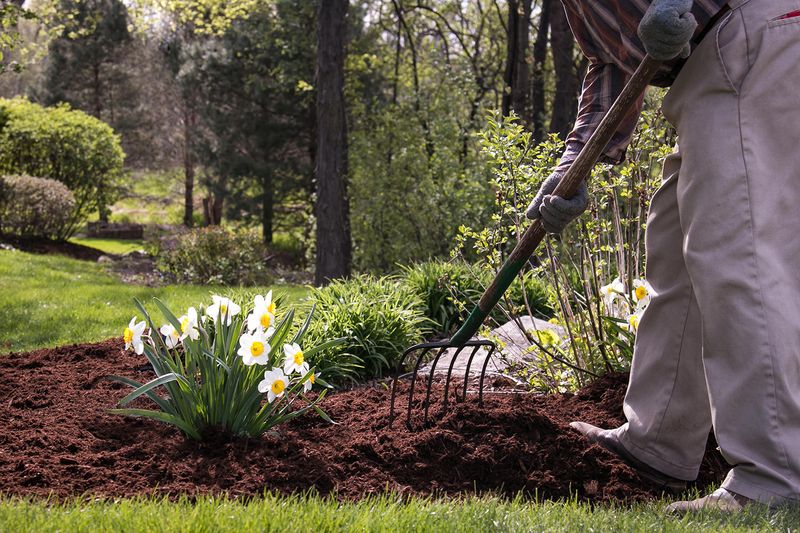 Simple Habits That Help Limit Pest Problems Next Season 
