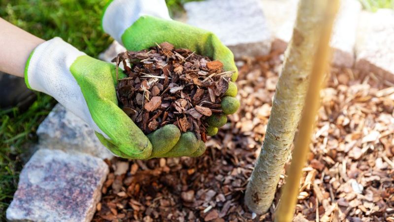 Simple October Planting Tips 
