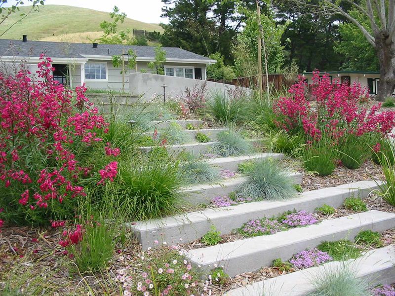 Simple Planting Steps Set You Up for Success Simple Planting Steps Set You Up for Success