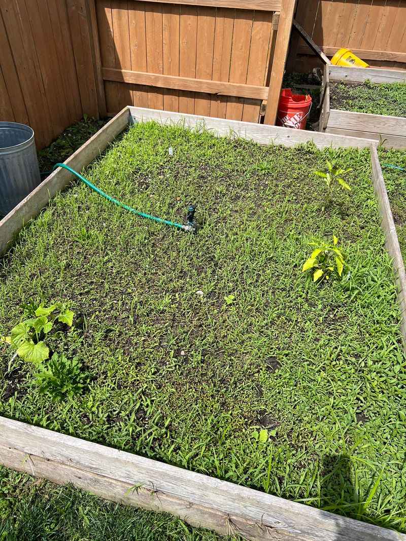 Simple Seeding Steps For Small Raised Beds Simple Seeding Steps For Small Raised Beds
