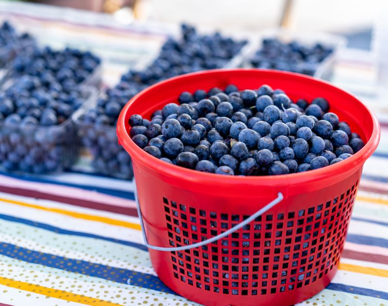 Simple Yearly Care For Steady Harvests Simple Yearly Care For Steady Harvests
