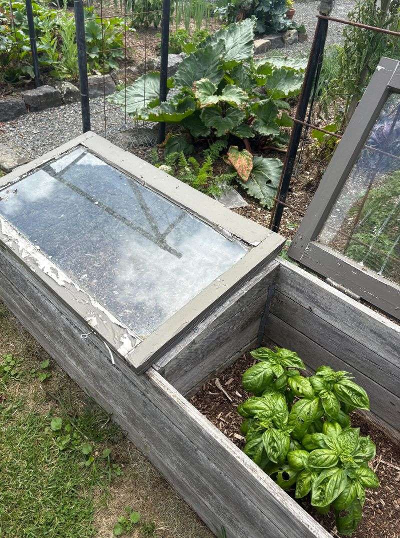 Size It So You Can Reach Every Plant