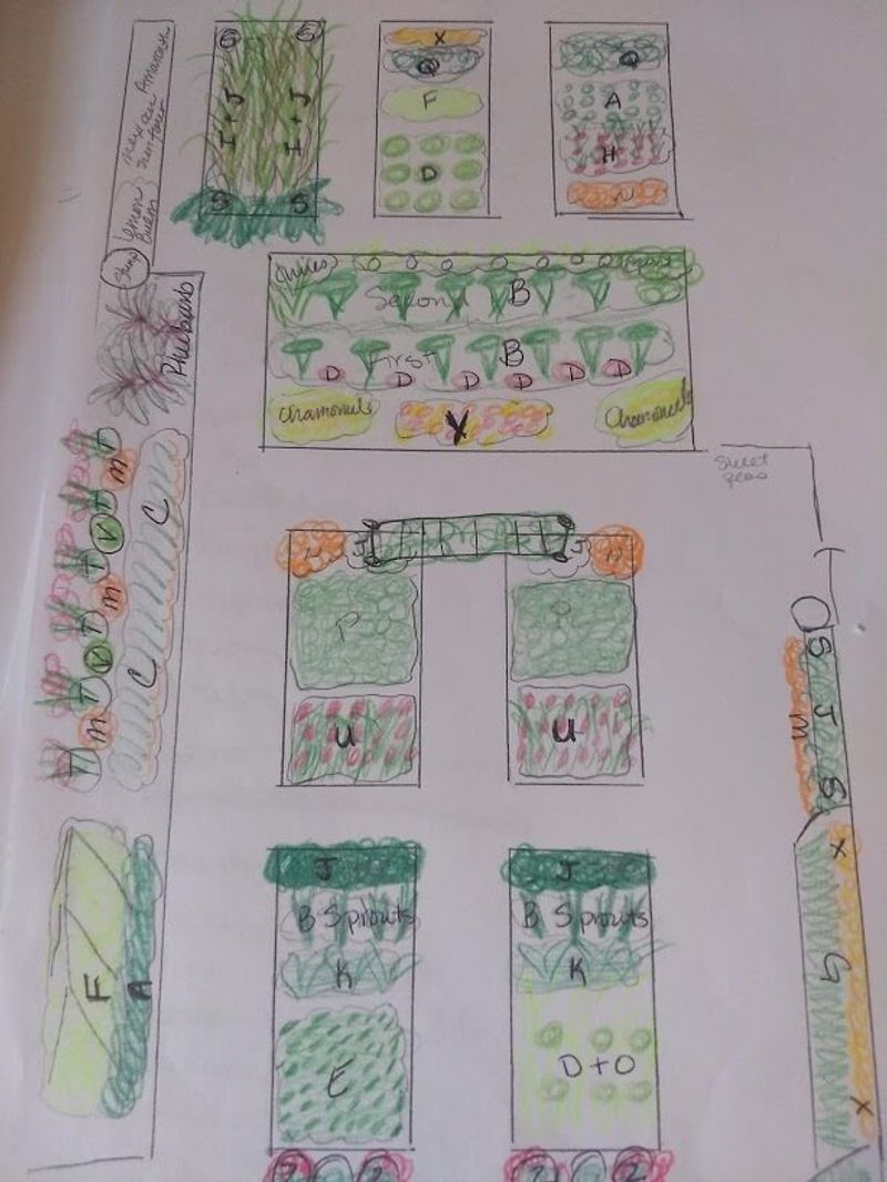 Sketch A Crop Rotation Map For Your Plot