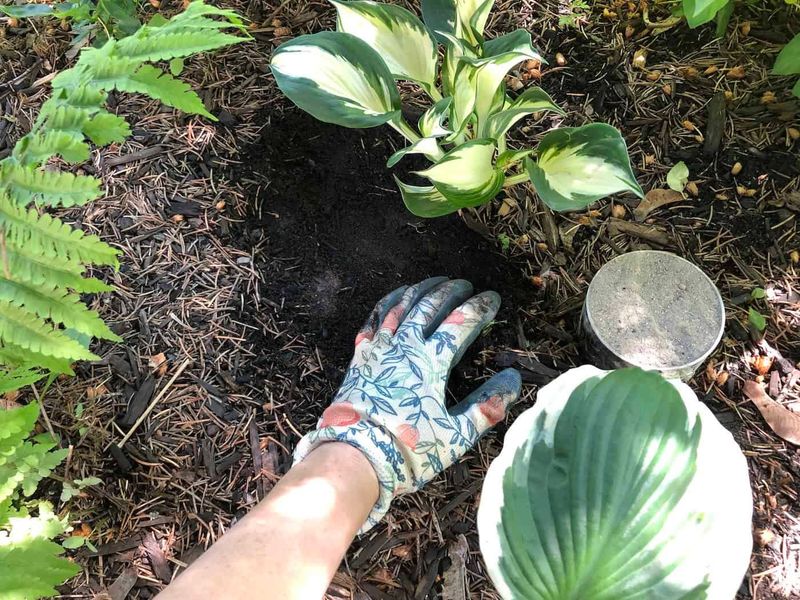 Skip Fall Fertilizer While Plants Head Toward Dormancy