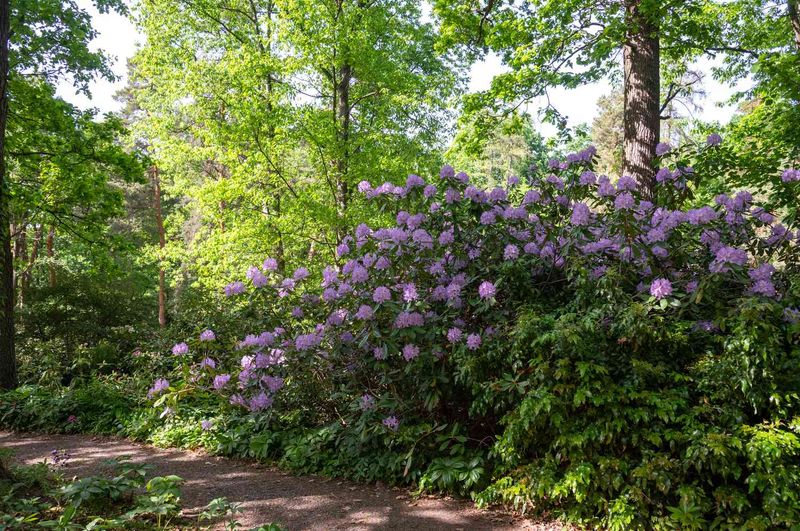 Skip Fertilizer Until Spring
