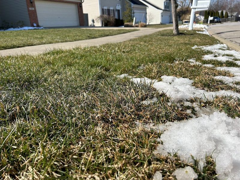 Skip Fertilizing Through Winter Skip Fertilizing Through Winter