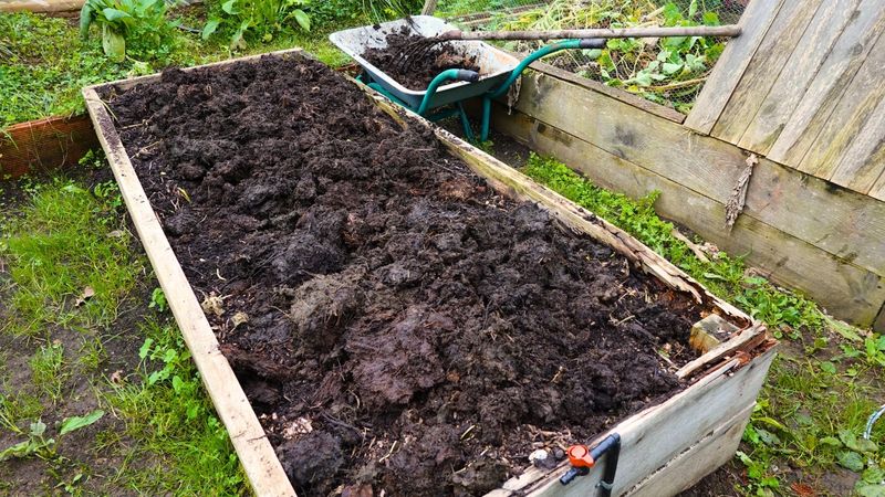 Skip Fresh Manure