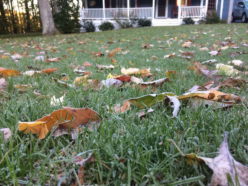 Skip Frozen Ground