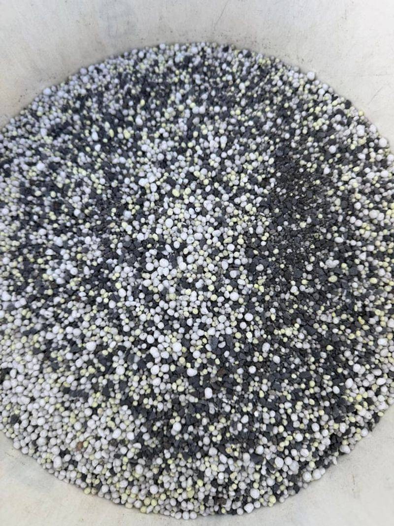 Skip Heavy Nitrogen Feeding This Late In The Season Skip Heavy Nitrogen Feeding This Late In The Season