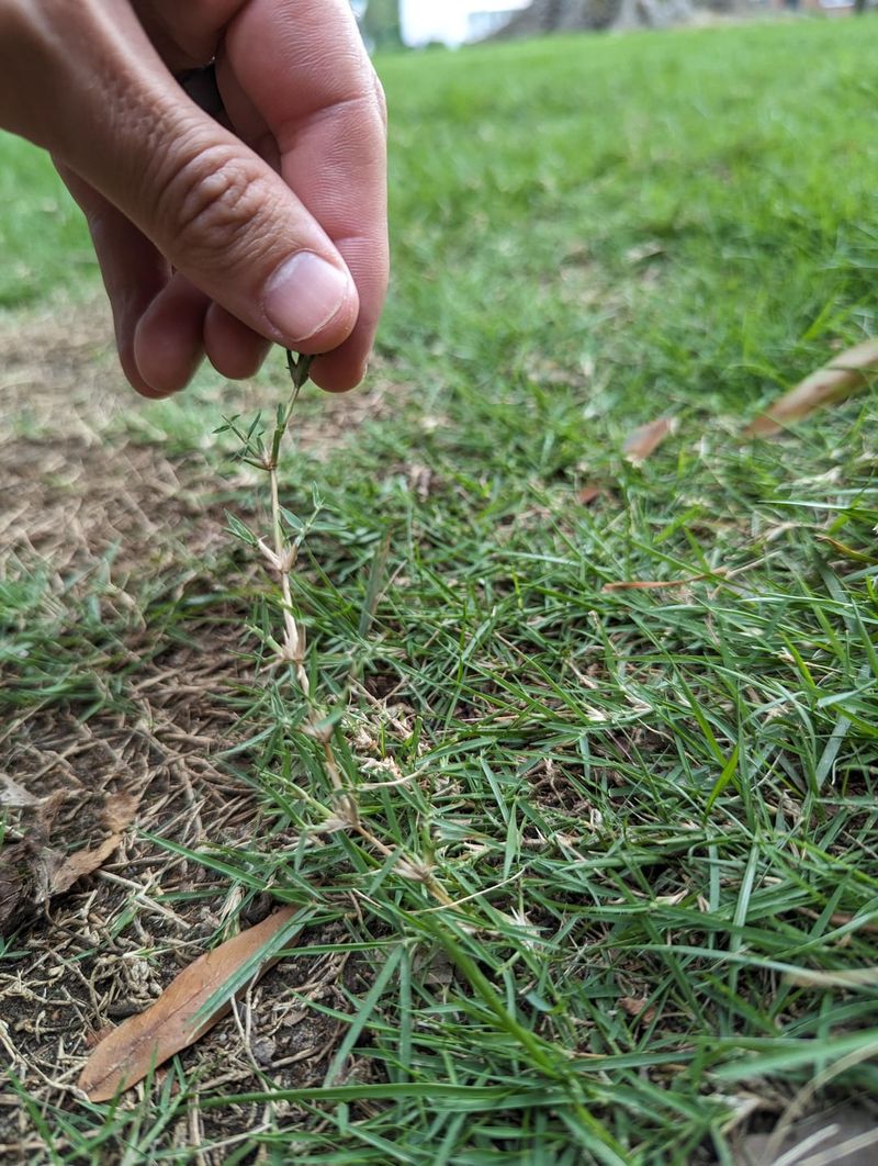 Skip Heavy Nitrogen This Late