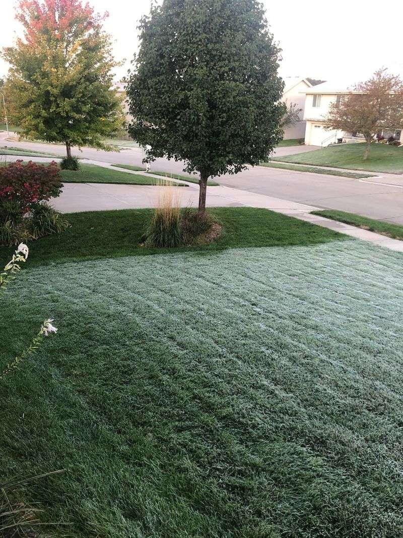 Skip Mowing Frosty Or Soggy Grass