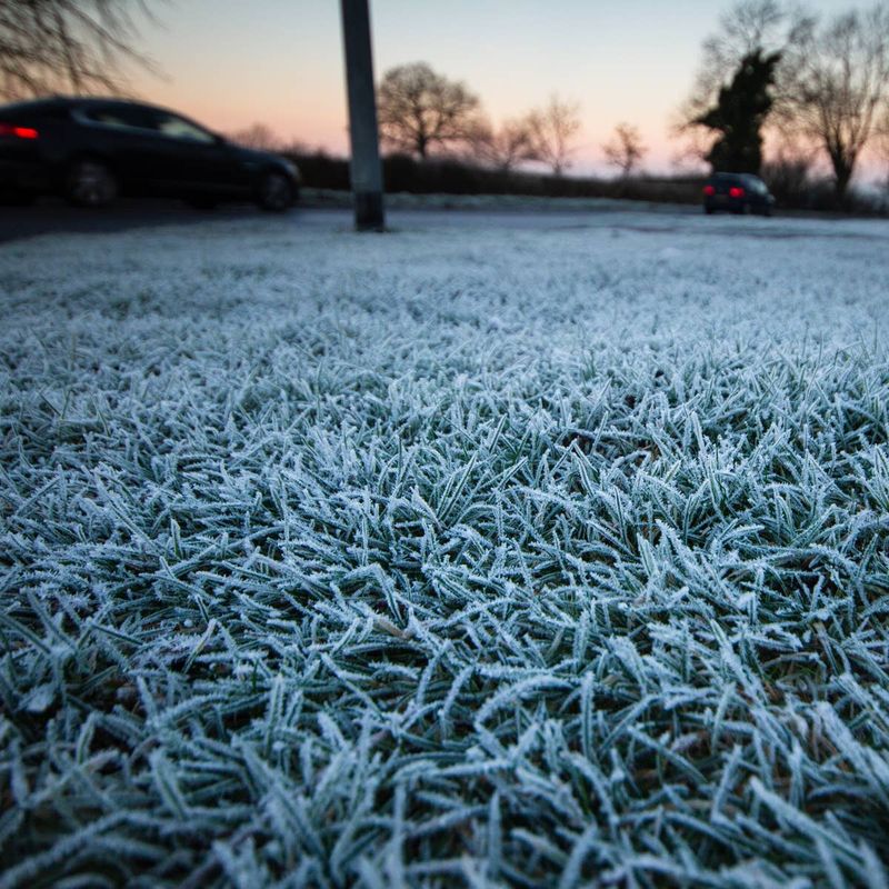 Skip Mowing Frosty Or Soggy Grass Skip Mowing Frosty Or Soggy Grass