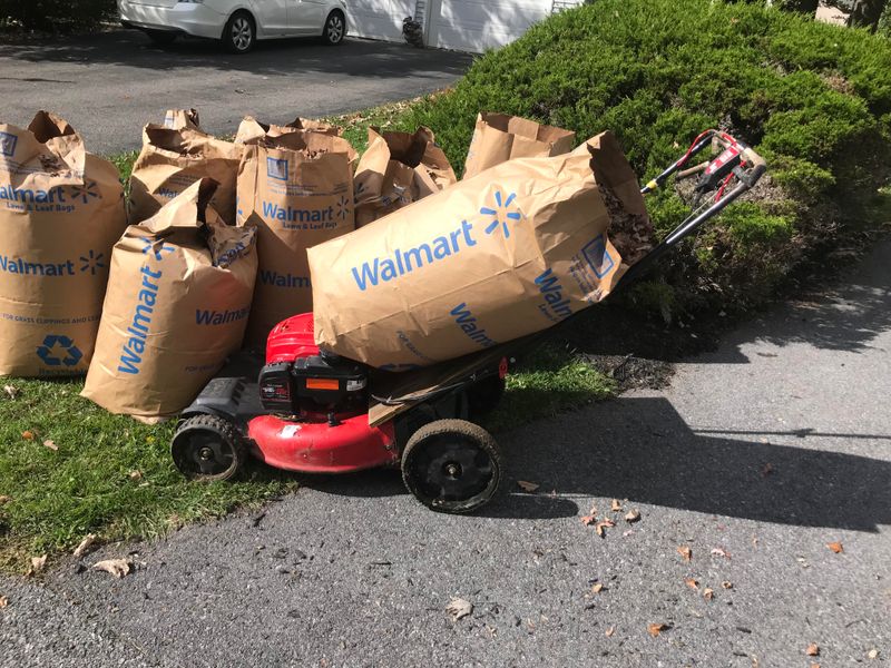 Skip The Bagging And Save The Money Skip The Bagging And Save The Money