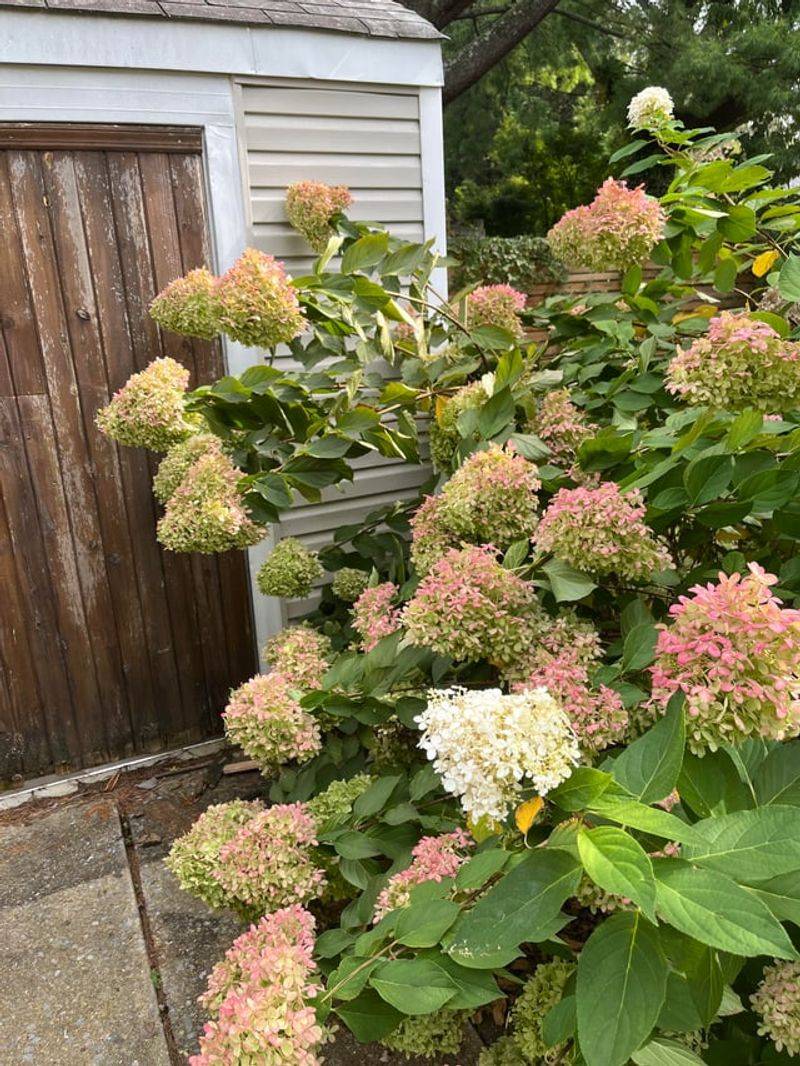 Skip The Fertilizer Bag For Now