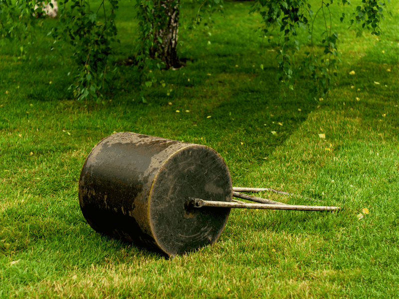 Skip The Heavy Roller