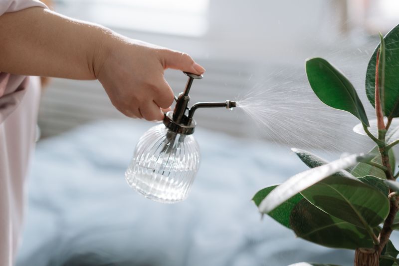 Skip The Misting Bottle Skip The Misting Bottle