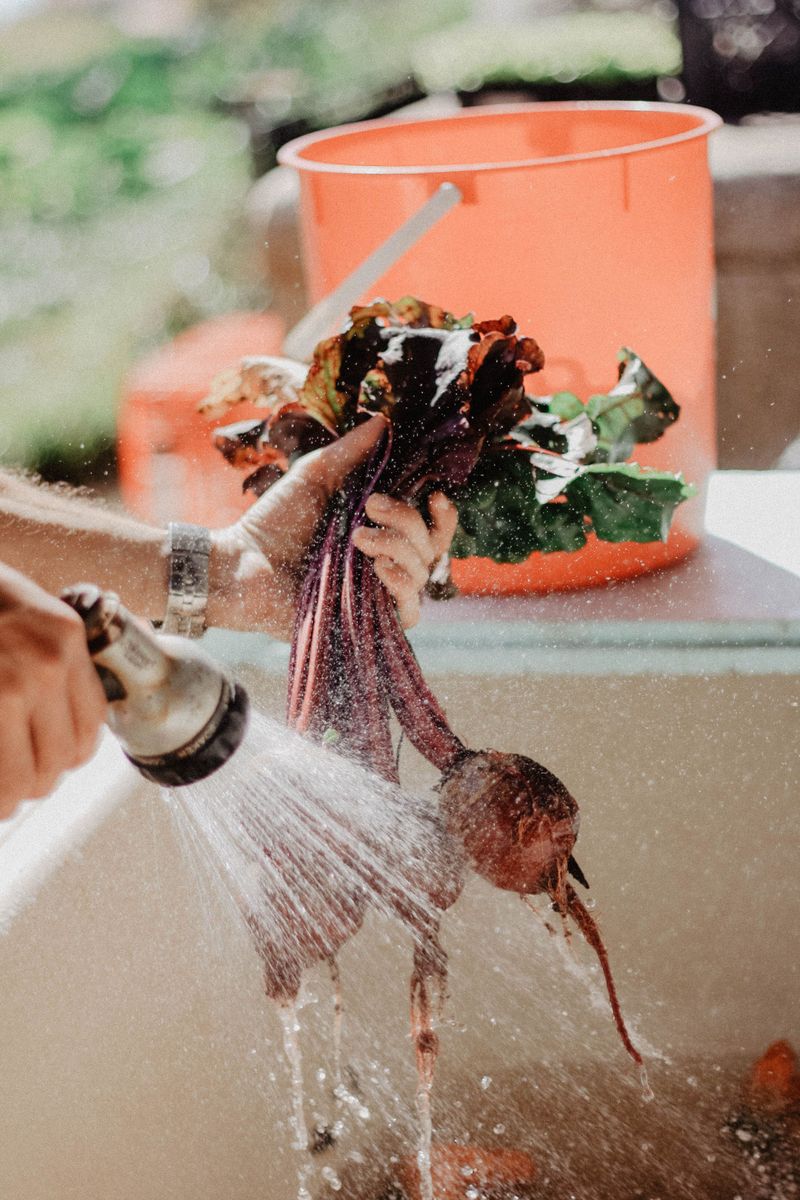 Skip The Wash And Brush Off The Dirt Skip The Wash And Brush Off The Dirt