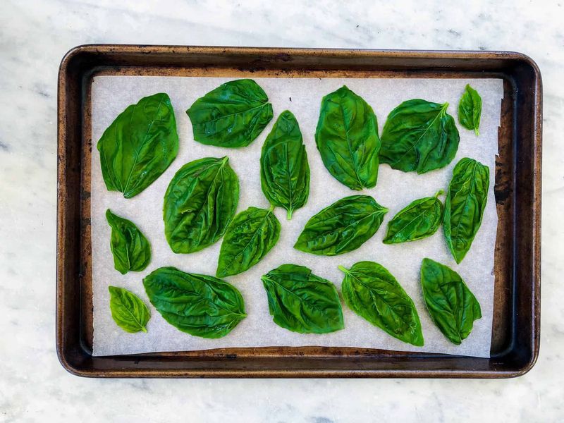Skip the ice-cube tray, not the flat freeze