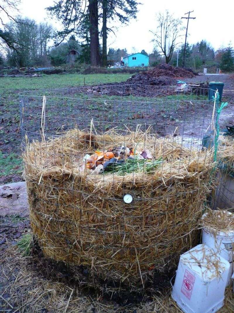 Skipping Insulation Around Your Compost Bin Skipping Insulation Around Your Compost Bin