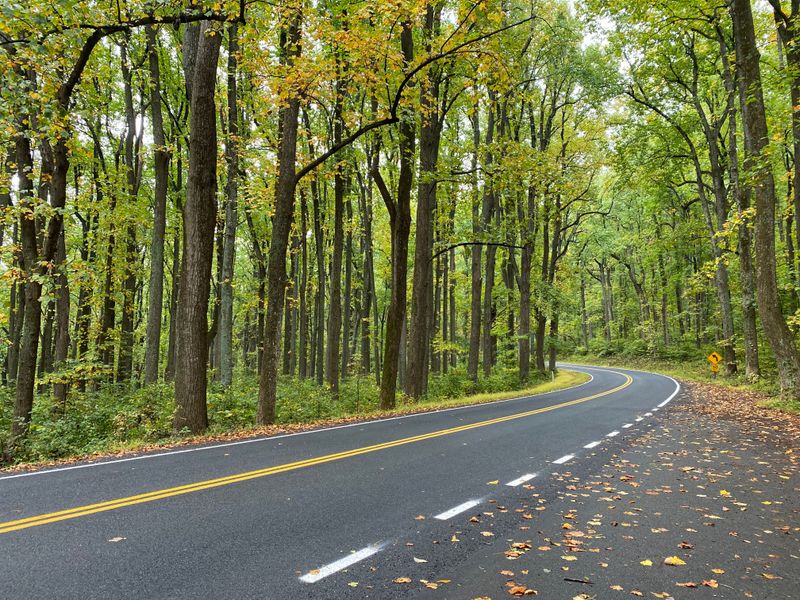 Skyline Drive For Overlook Hopping Skyline Drive For Overlook Hopping