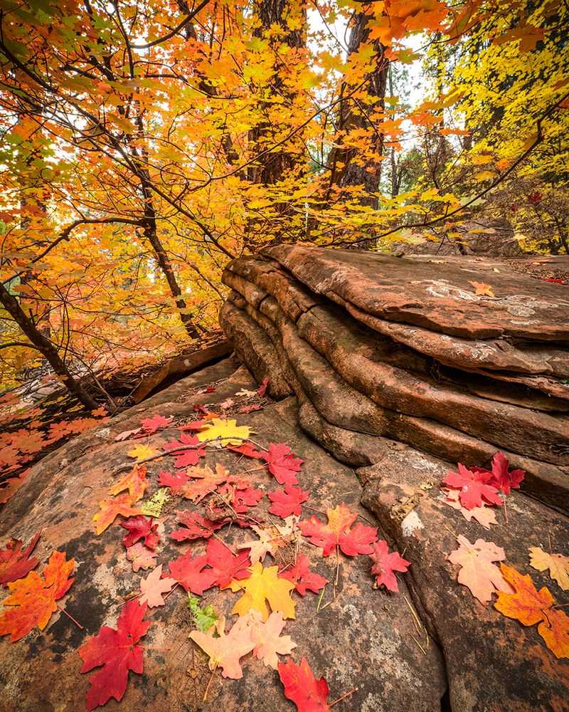 Slide Rock State Park