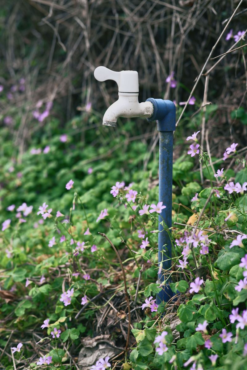 Slip A Foam Cover Over Each Outdoor Faucet