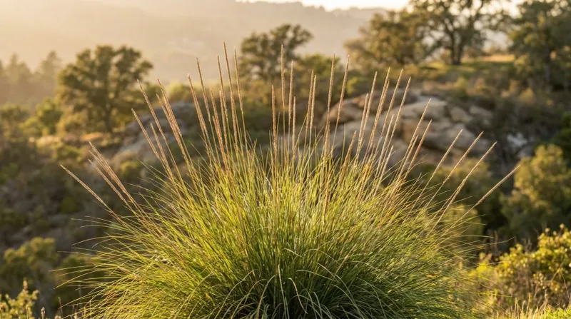 Slopes Benefit From Its Erosion Control