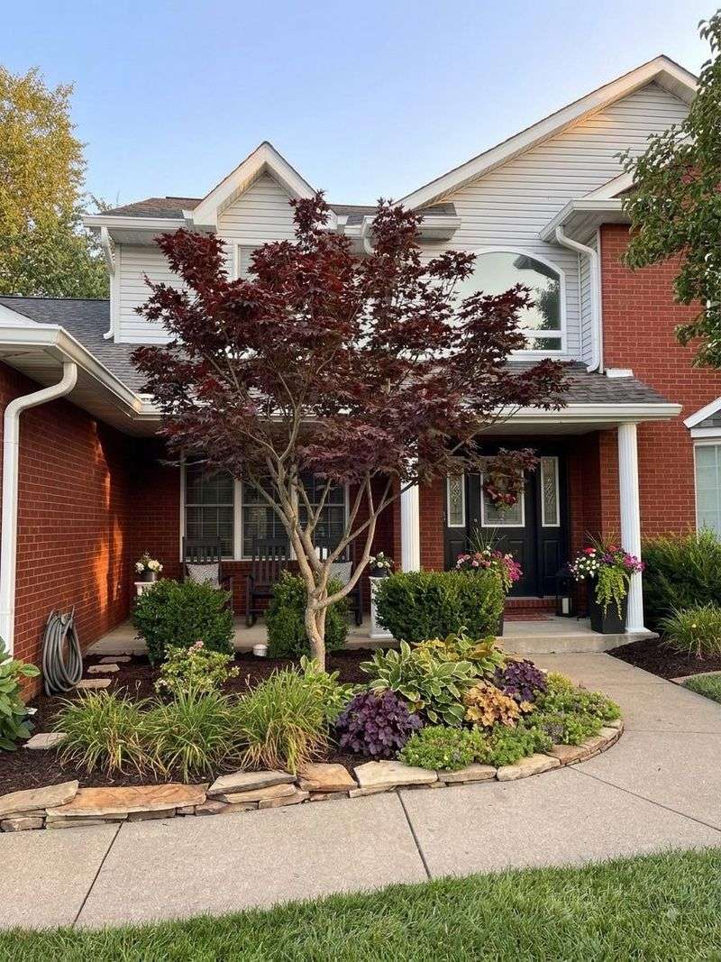 Slow Growth Keeps Many Varieties In Scale With Outdoor Living Spaces Slow Growth Keeps Many Varieties In Scale With Outdoor Living Spaces