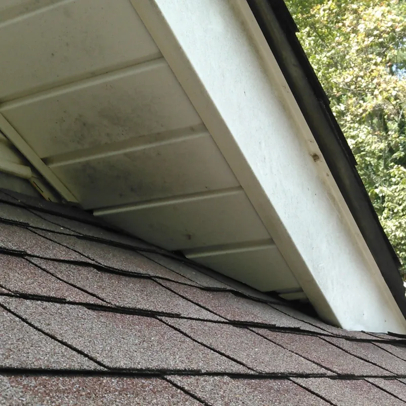Small Gaps Around Vents And Rooflines Give Them A Way Inside