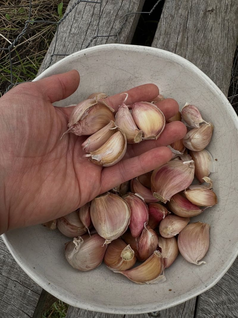 Small Inner Cloves Are Better Saved For The Kitchen