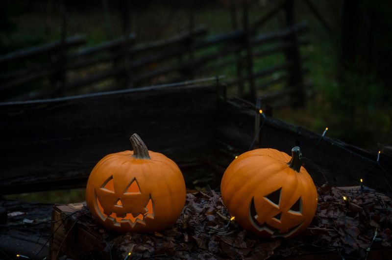 Small LED Flashlights Cast Spooky Pumpkin Shadows Small LED Flashlights Cast Spooky Pumpkin Shadows