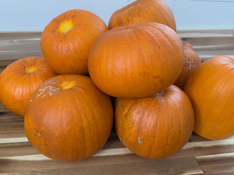 Small Pie Pumpkins Made For Baking