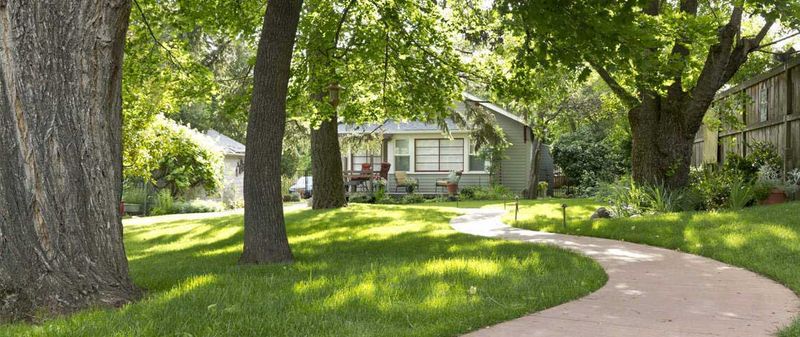 Smart Fixes For A Greener Shady Lawn
