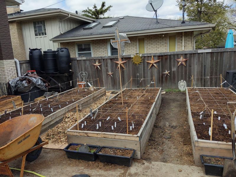 Smart Fixes For Crowded Roost Sites Smart Fixes For Crowded Roost Sites