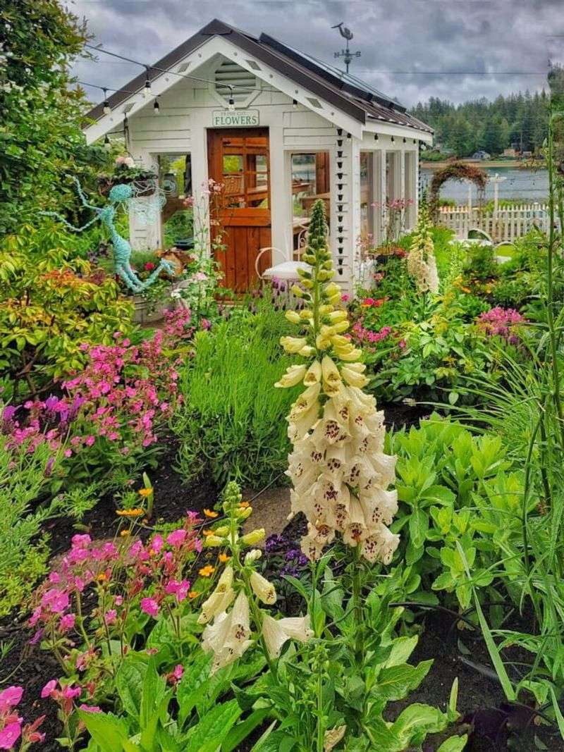 Smart Garden Layouts For Homes With Pets Smart Garden Layouts For Homes With Pets