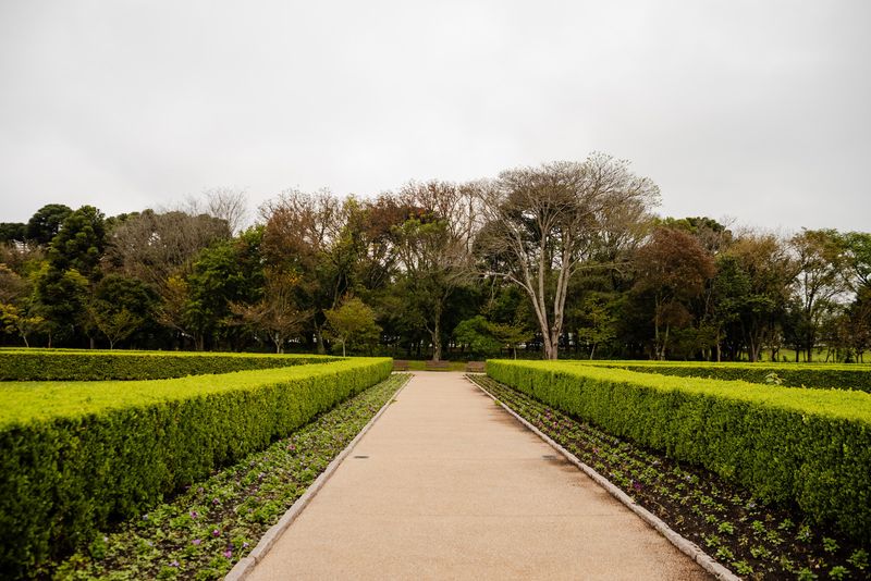 Smart Planting Choices To Keep Future Hedges Healthy Smart Planting Choices To Keep Future Hedges Healthy