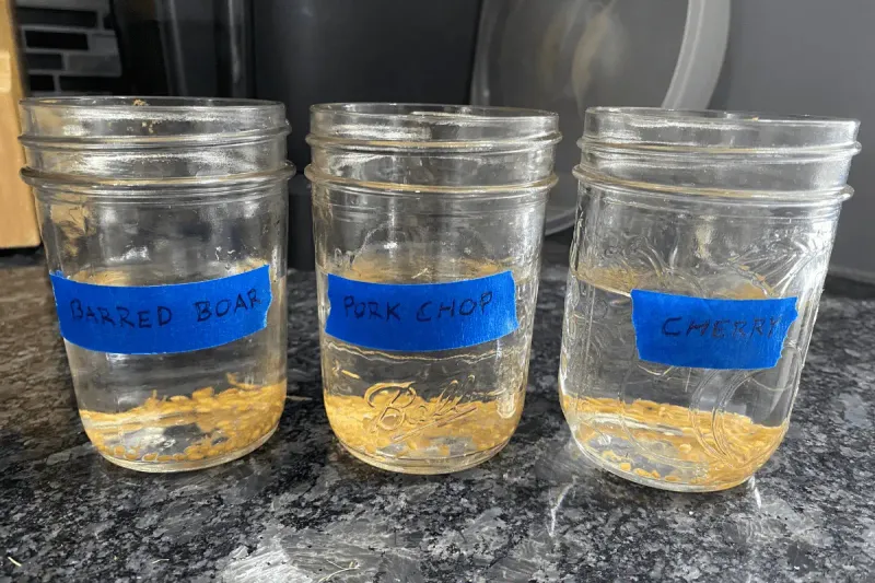 Smart Soaking Tips For Every Garden Smart Soaking Tips For Every Garden