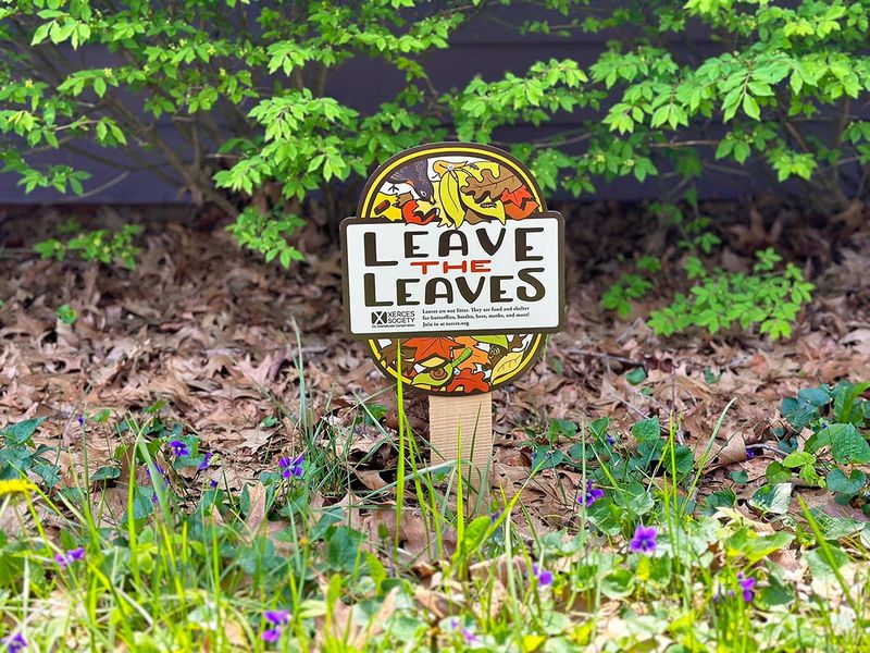Smart Ways To Keep Leaves Neat And Tidy Smart Ways To Keep Leaves Neat And Tidy