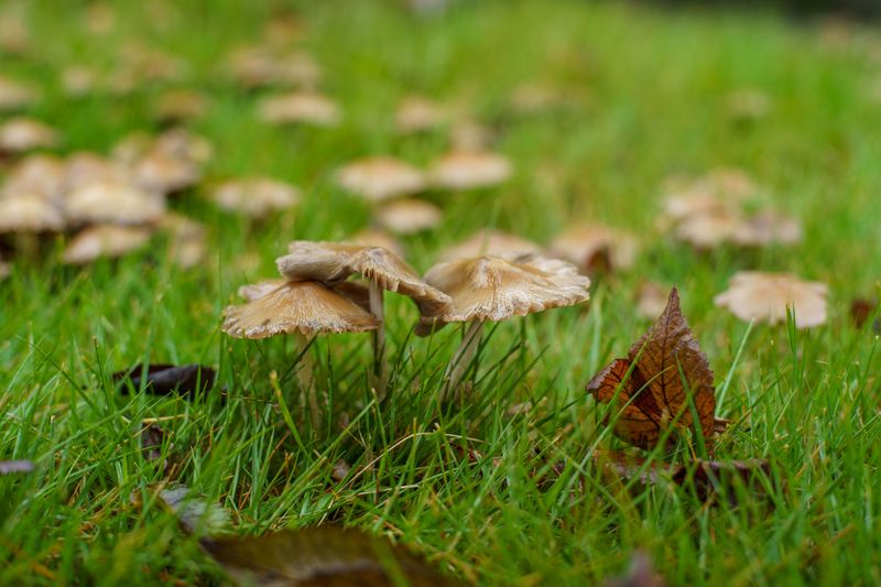 Smart Yard Habits To Keep Moisture In Check Smart Yard Habits To Keep Moisture In Check