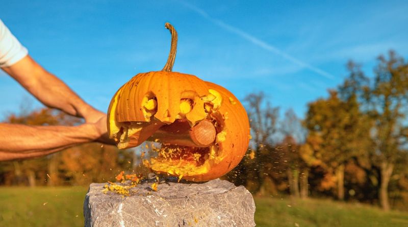 Smash It Into Pieces Before Winter Settles In Smash It Into Pieces Before Winter Settles In