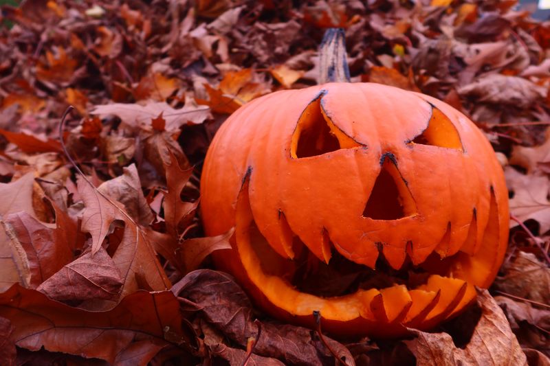 Smash Your Pumpkin Under A Blanket Of Fall Leaves