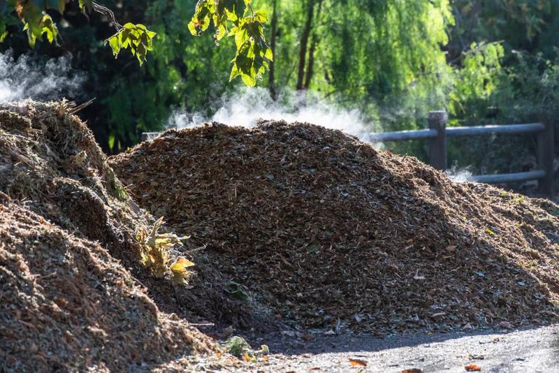 Smoldering Mulch Is An Overlooked Risk Next To Your Home
