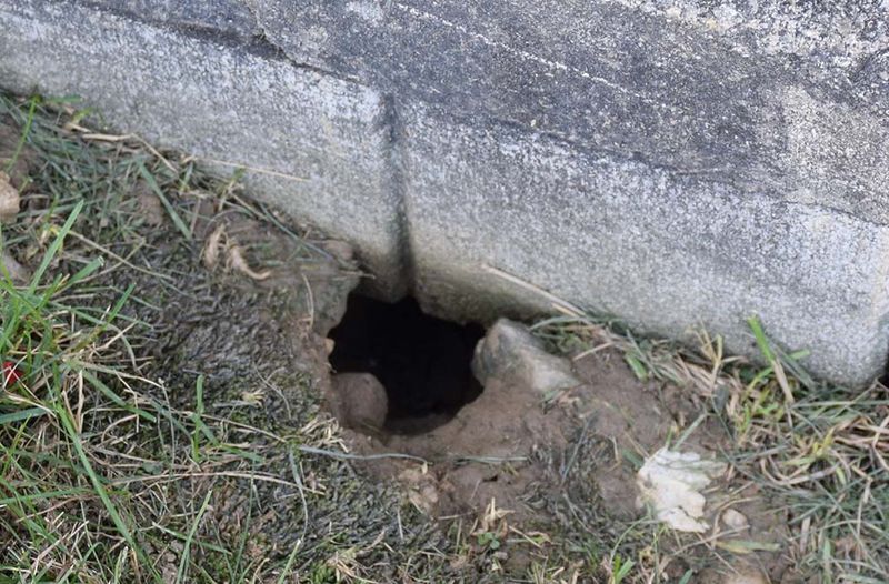 Smooth Holes Near Your Foundation Deserve A Closer Look